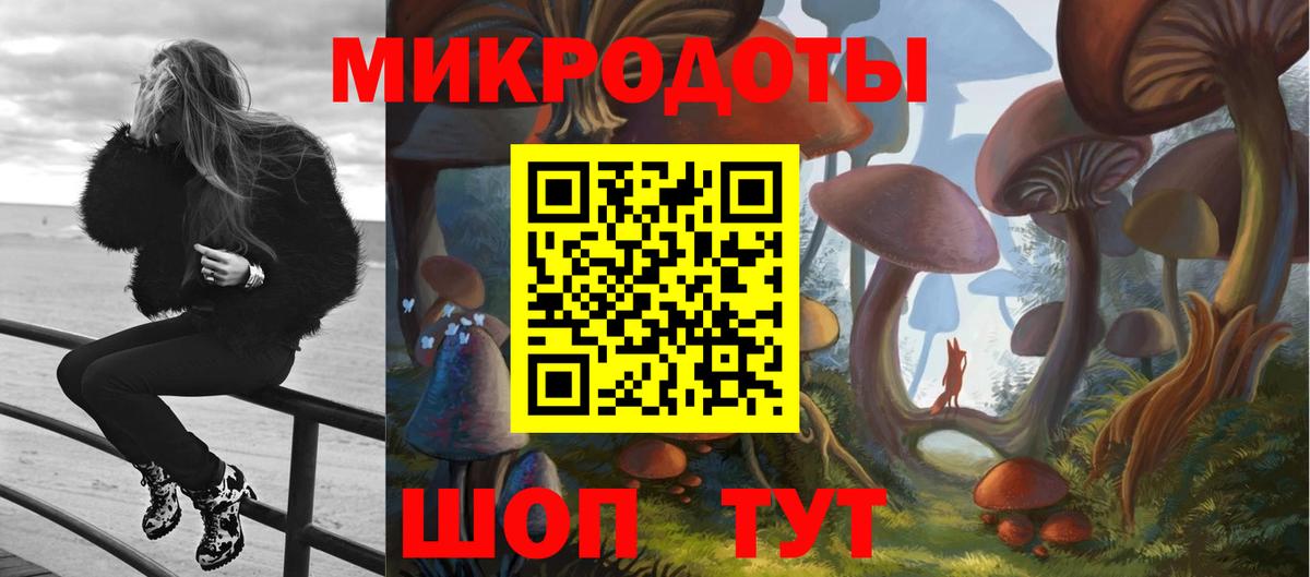 Вышний Волочёк  Галлюциногенные грибы GOLDEN TEACHER  Вход с VPN 